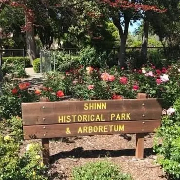 Saturday Garden Volunteers