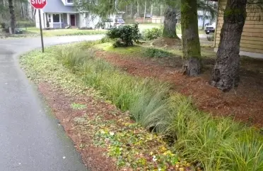 Stormwater Stewardship Volunteer Event