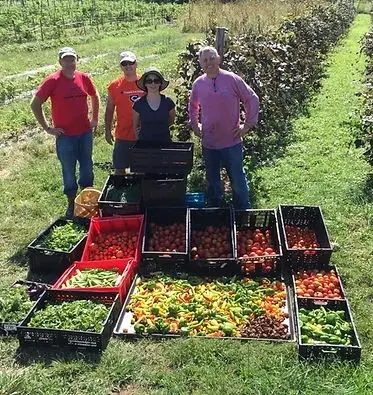 Volunteers Needed to Help in Community Gardens that Supply Food Banks