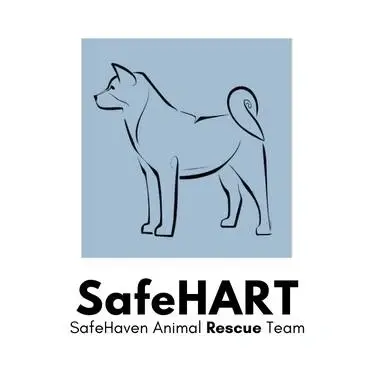 Adoption Coordinator