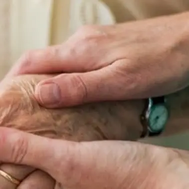 Amedisys Hospice Companion Volunteers Needed