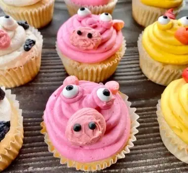 Birthday Cupcake Delivery Driver for Patients in Hospice Care