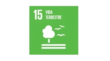 Programa de Intercâmbio Voluntário em Preservação da Biodiversidade e Vida Selvagem | ODS 15