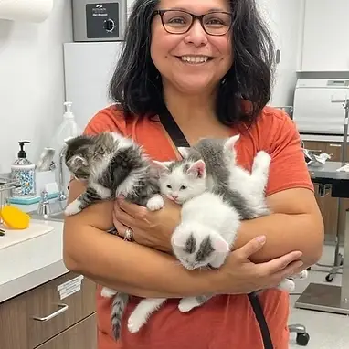 Fosters needed for Naperville Area Humane Society