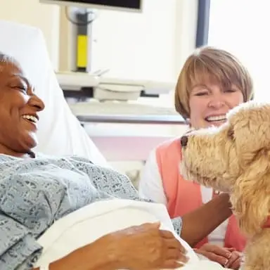 Paws with a Purpose: Volunteer with Your Dog to bring joy and comfort!