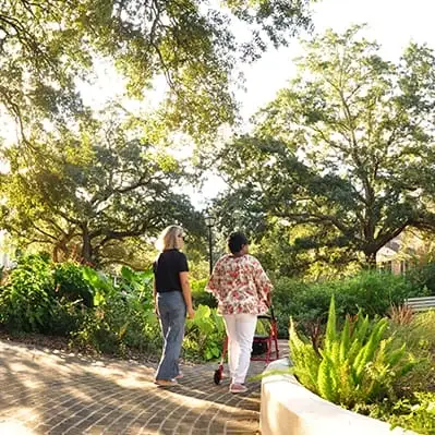 Outdoor Walking Companion