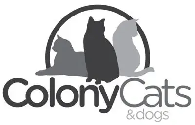 Cat Rescue Seeking Co-Lead for Easton Off-Site Location