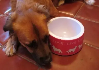 HELP !! Fundraising Volunteers Needed!!