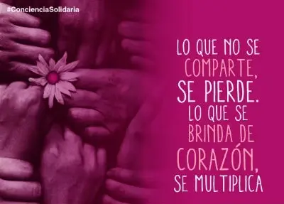 A picture of a quote with lots of hands and a single flower.