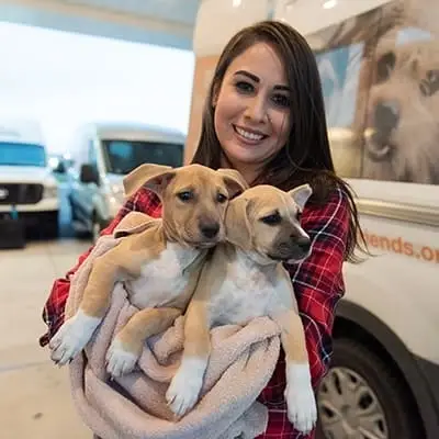 Lawrence, KS: help dogs as they take a break on their road trip to adoption!