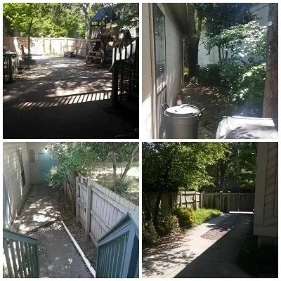 Shelter Grounds Clean-Up