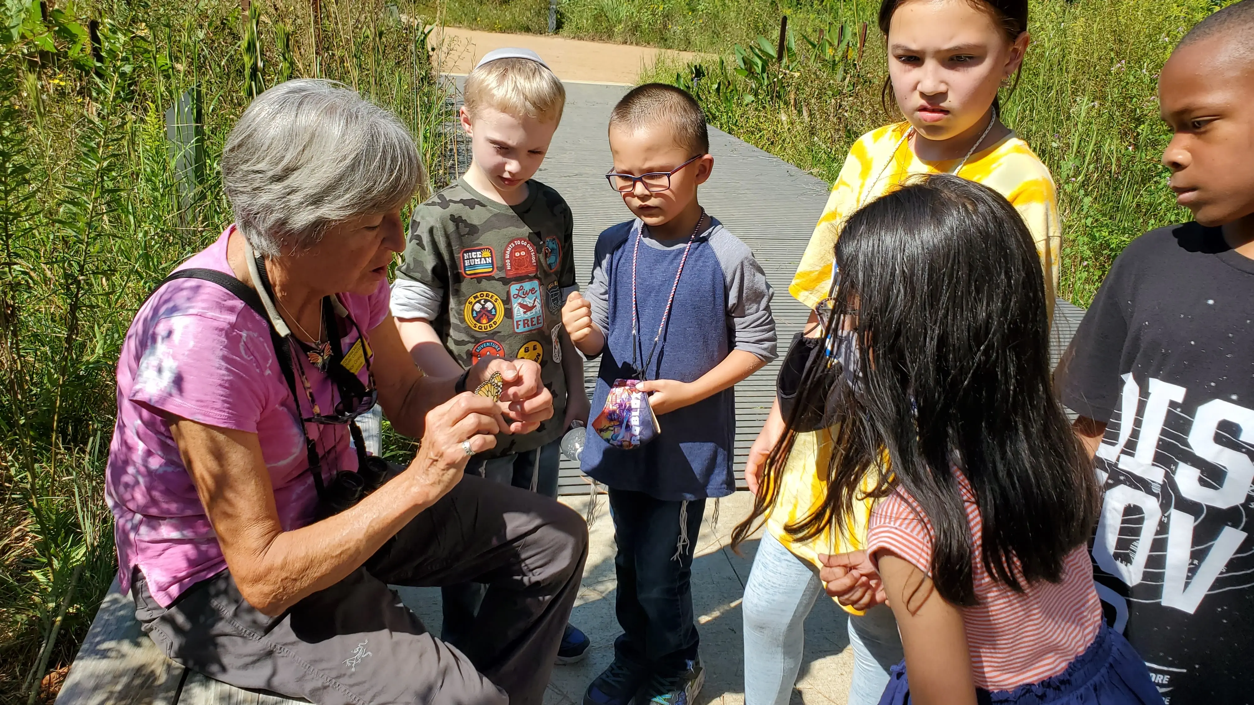 Volunteer Docent