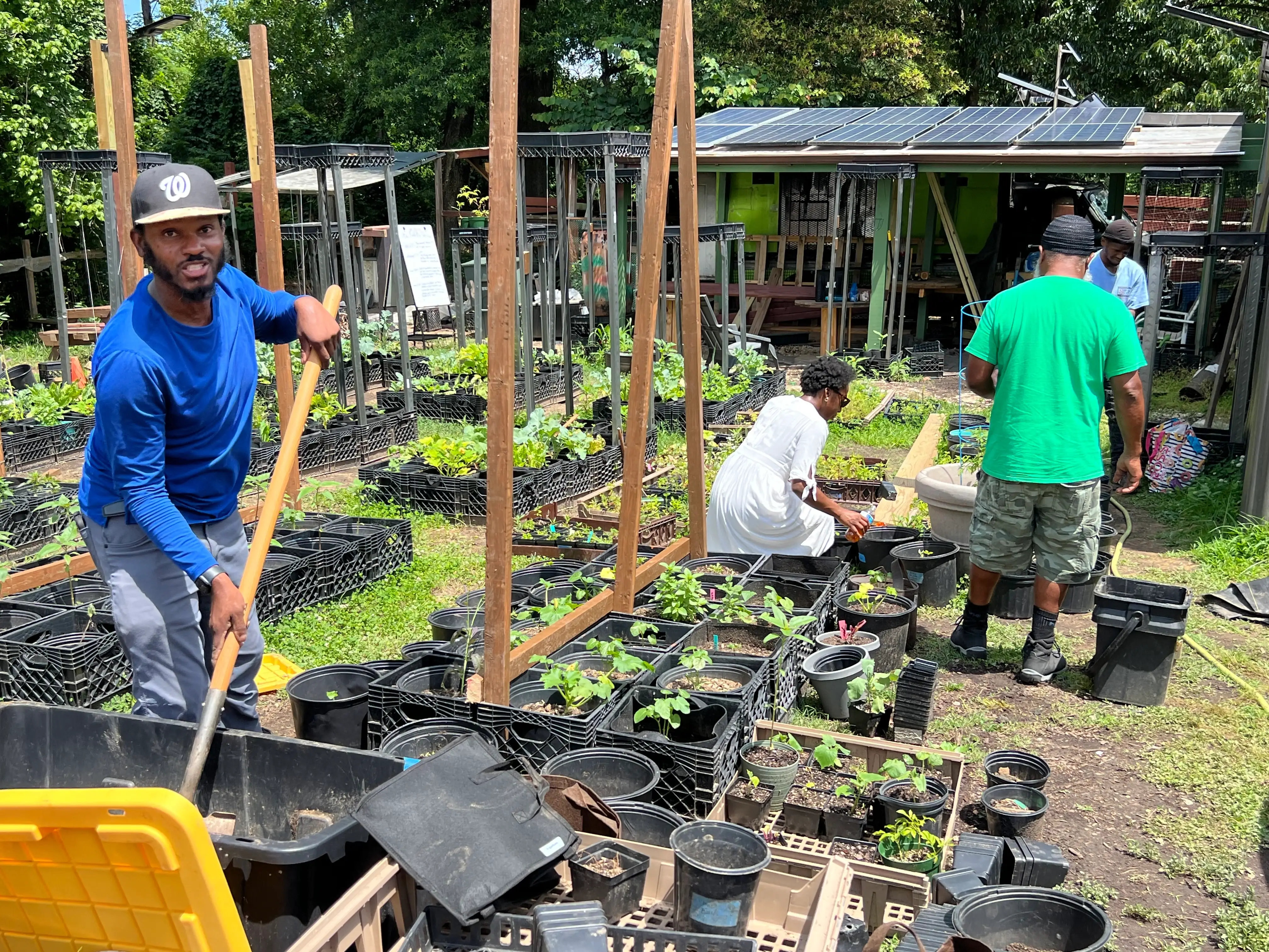 Community Garden Volunteer (Applied Research Garden)