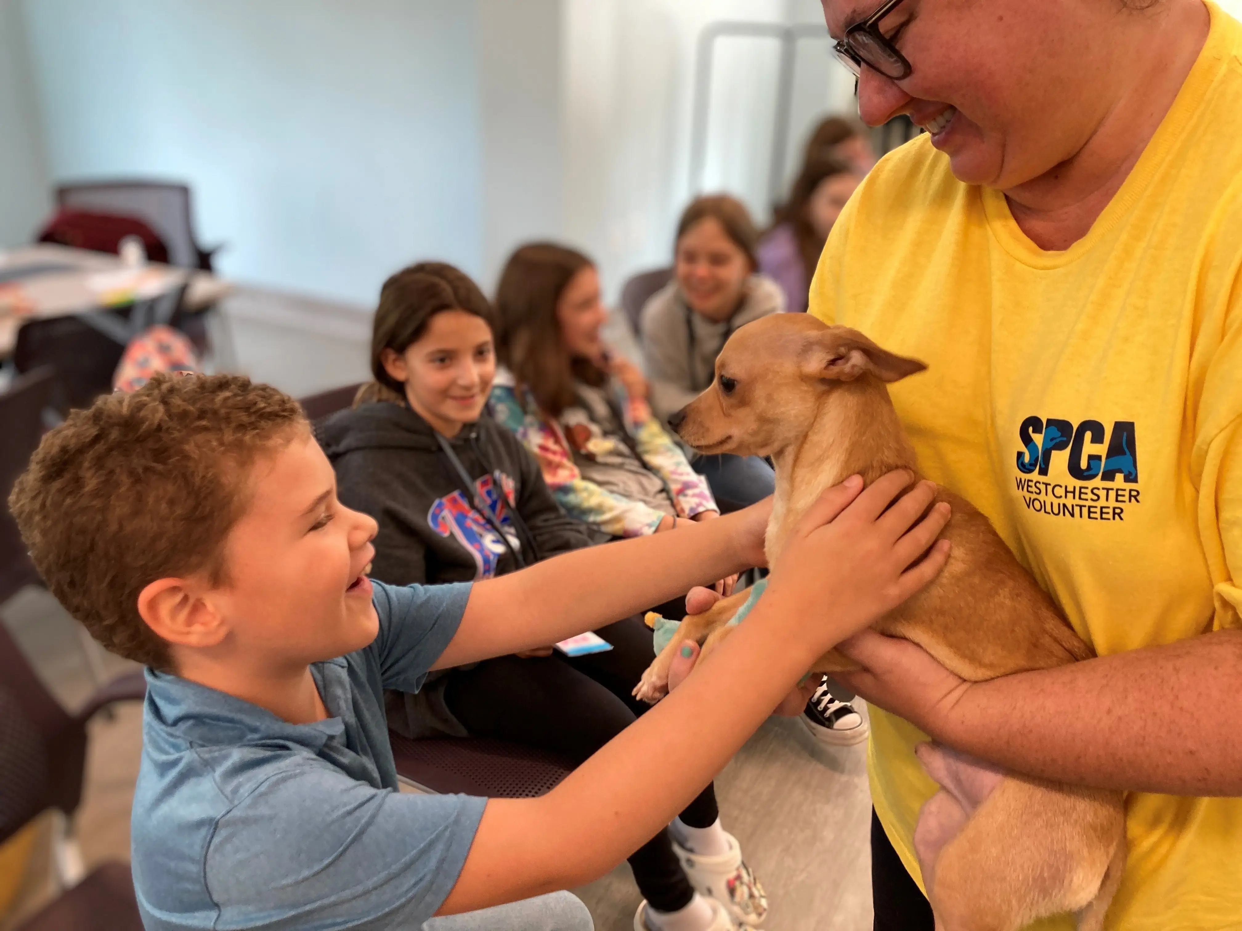 Animal Rescue Center Camp Volunteers (18+)