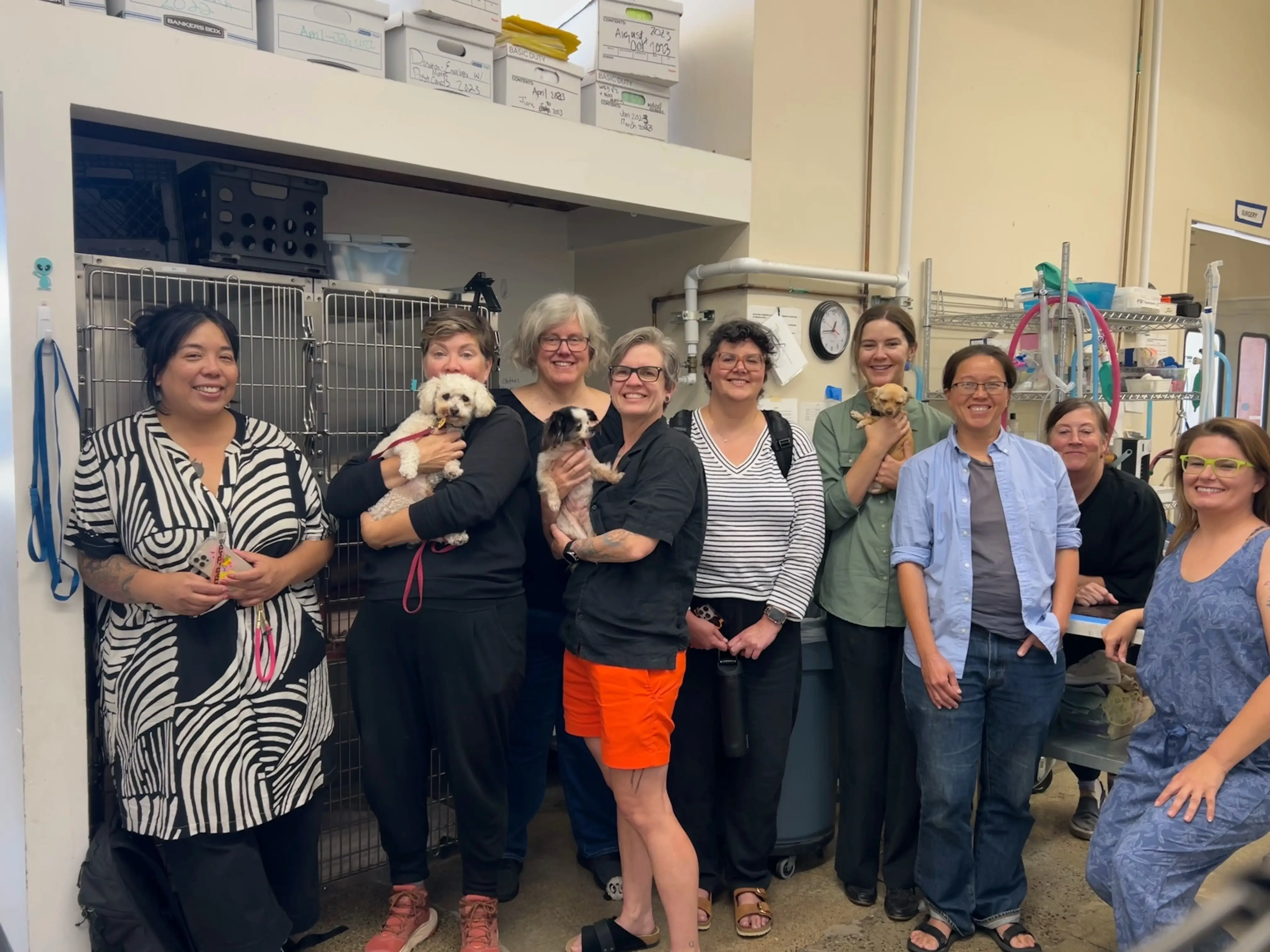 Non-profit vet clinic seeks Board members