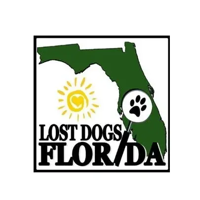 Lost Dogs Florida - Virtual volunteer opportunity