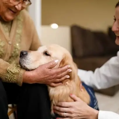 Pet Companionship Volunteers Needed to Visit Hospice Patients