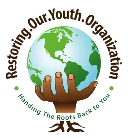 EVP of Innovative Ideas & Strategy