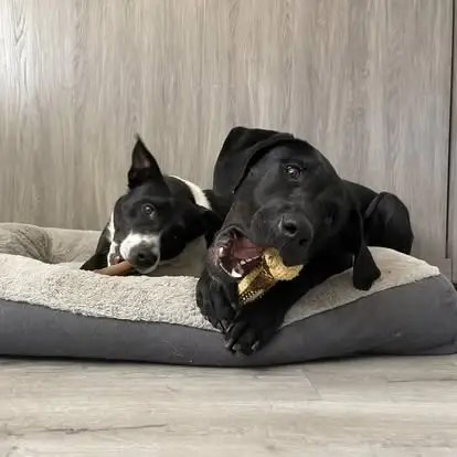 Volunteer bookkeeper