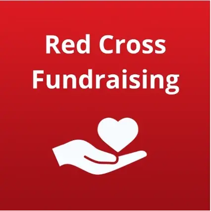Use Your Finance & Admin Skills to Process Donations with Purpose!
