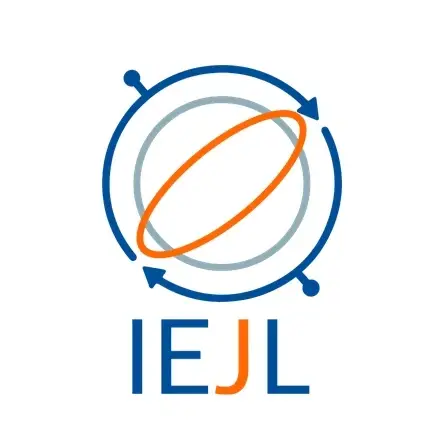 UI/ UX Developer