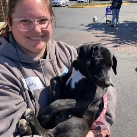 Help Dogs Get Adopted with Lucky Dog in Rockville on January 11th!!