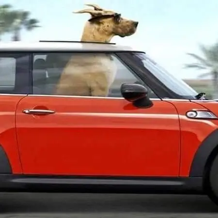 Transport Coordinators