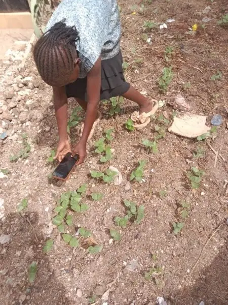 AI for Farmers Mobile App Developer