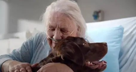 Pet Therapy Volunteers - Affinity Care Hospice Manatee/Sarasota/Charlotte/DeSoto County