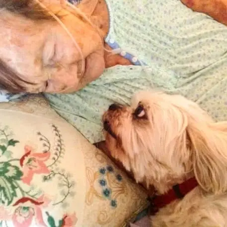 Hospice Pet Therapy Volunteers Needed!