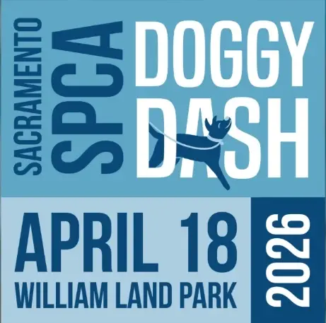 Sacramento SPCA Doggy Dash - RACE COURSE MONITOR