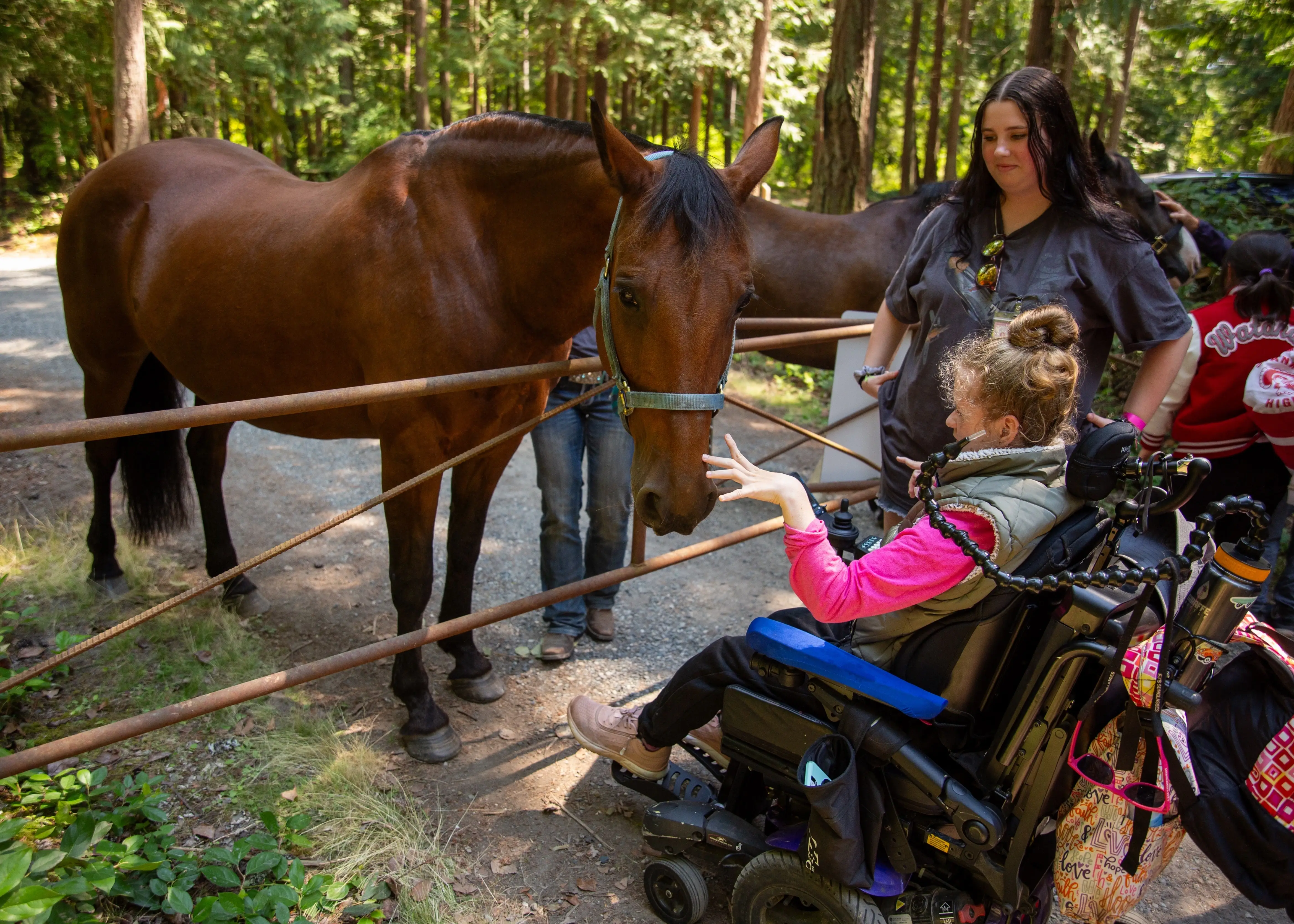 Horsemanship Volunteer
