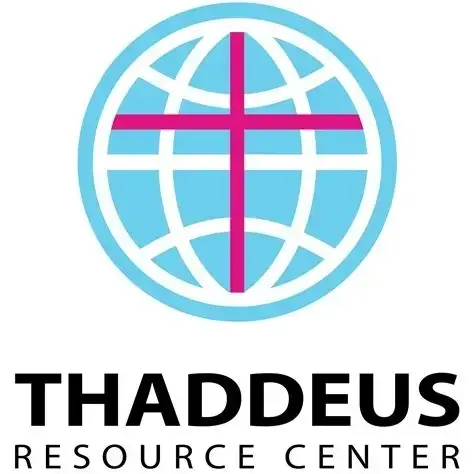 Virtual Mental Health Services Professional Mentor