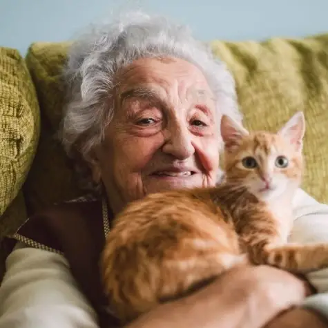 Music Hospice Volunteer