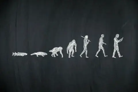 Un gráfico de la evolución desde un pez hasta el hombre con un celular