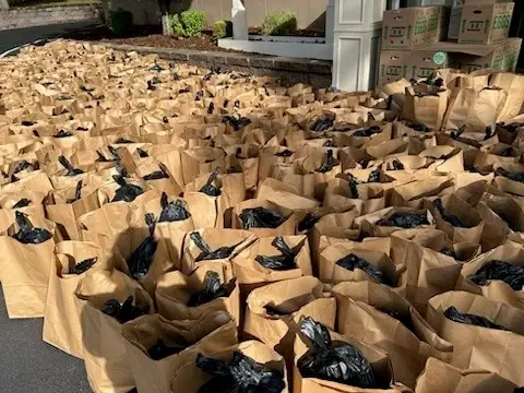 BAMSI Brown Bag Program