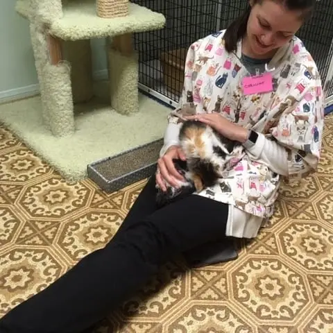 Cat and Kitten Caregivers