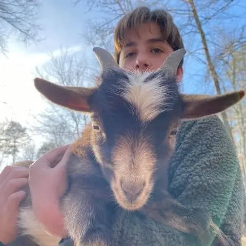 Fundraiser for Non-Profit Therapy Farm