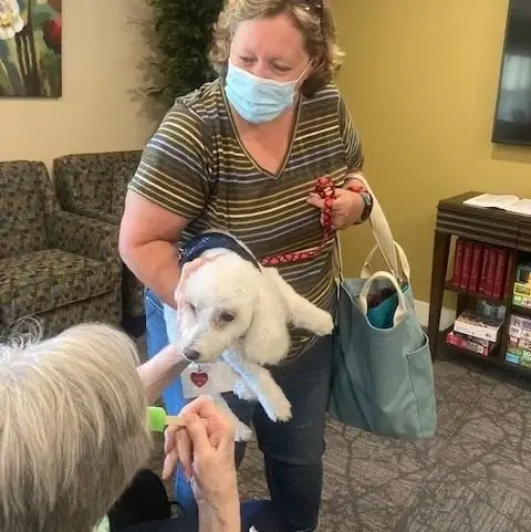 You and Your Dog Wanted: Pet Visitors for Emmanuel Hospice