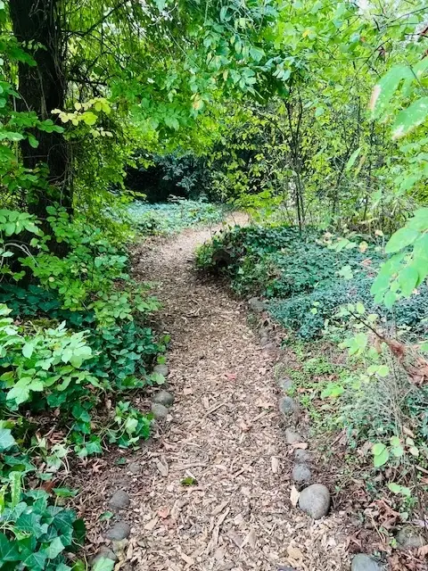 Want to Improve Deepwood's Nature Trails?