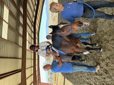 Become a Horse Leader Volunteer with Pegasus