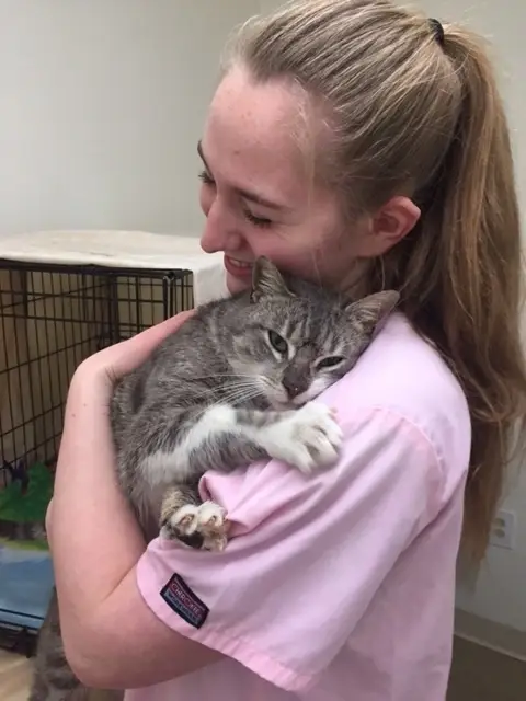 Monday Morning Cat Caretaker Willow Grove