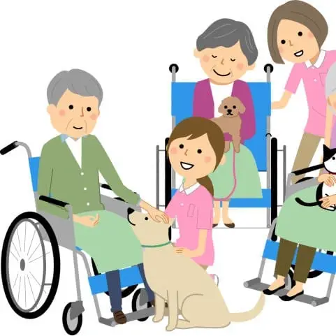 Pet Companionship Volunteers Needed