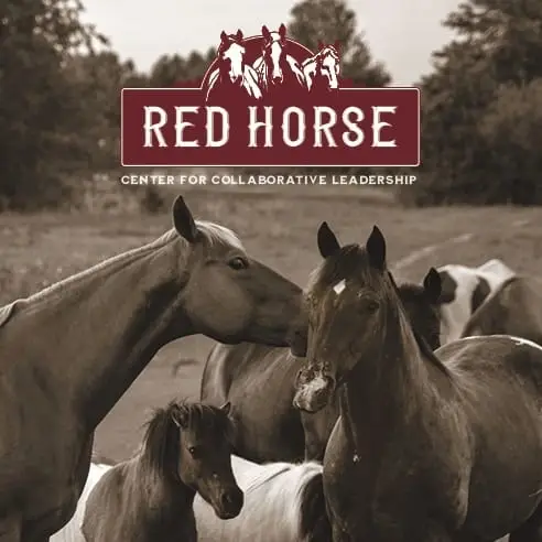 Calling all Grant Researchers (Volunteers Wanted- Remote)