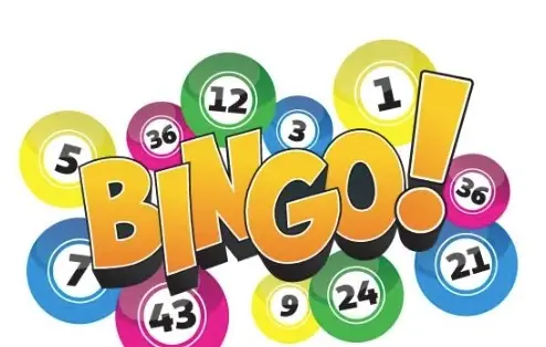 B-I-N-G-O Hospice Volunteer