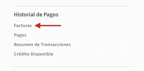 Captura de pantalla señalando la opción Facturas del Historial de Pagos.