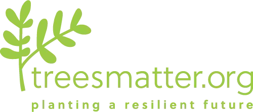 Join A Community of Tree Planting Volunteers!!!