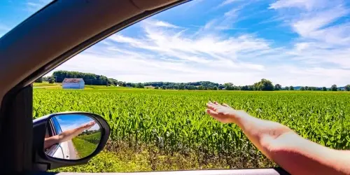 Volunteer Grant Writer – Human Rights & Survivor Support