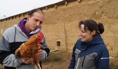 pareja con una gallina