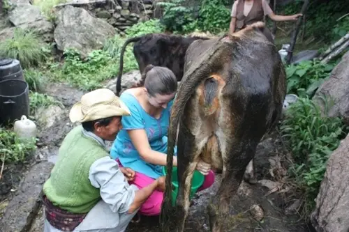 Organic Farming and Permaculture